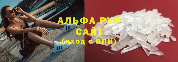стаф Арсеньев