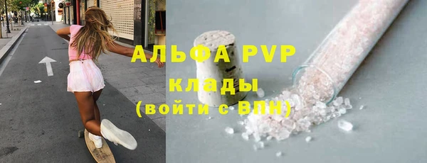 стаф Арсеньев