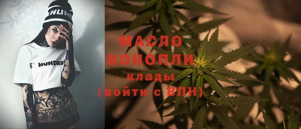 стаф Арсеньев
