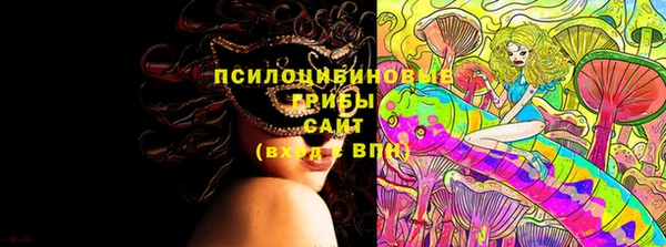 стаф Арсеньев