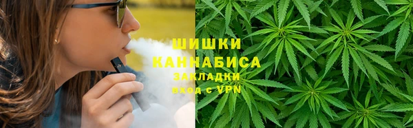 молекула духа Балахна