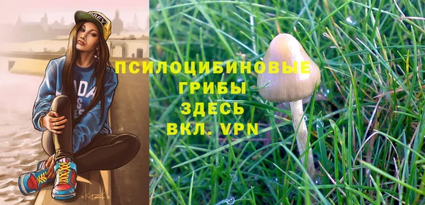 герыч Аркадак