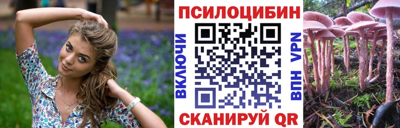 как найти закладки  Зима  Псилоцибиновые грибы Psilocybine cubensis 